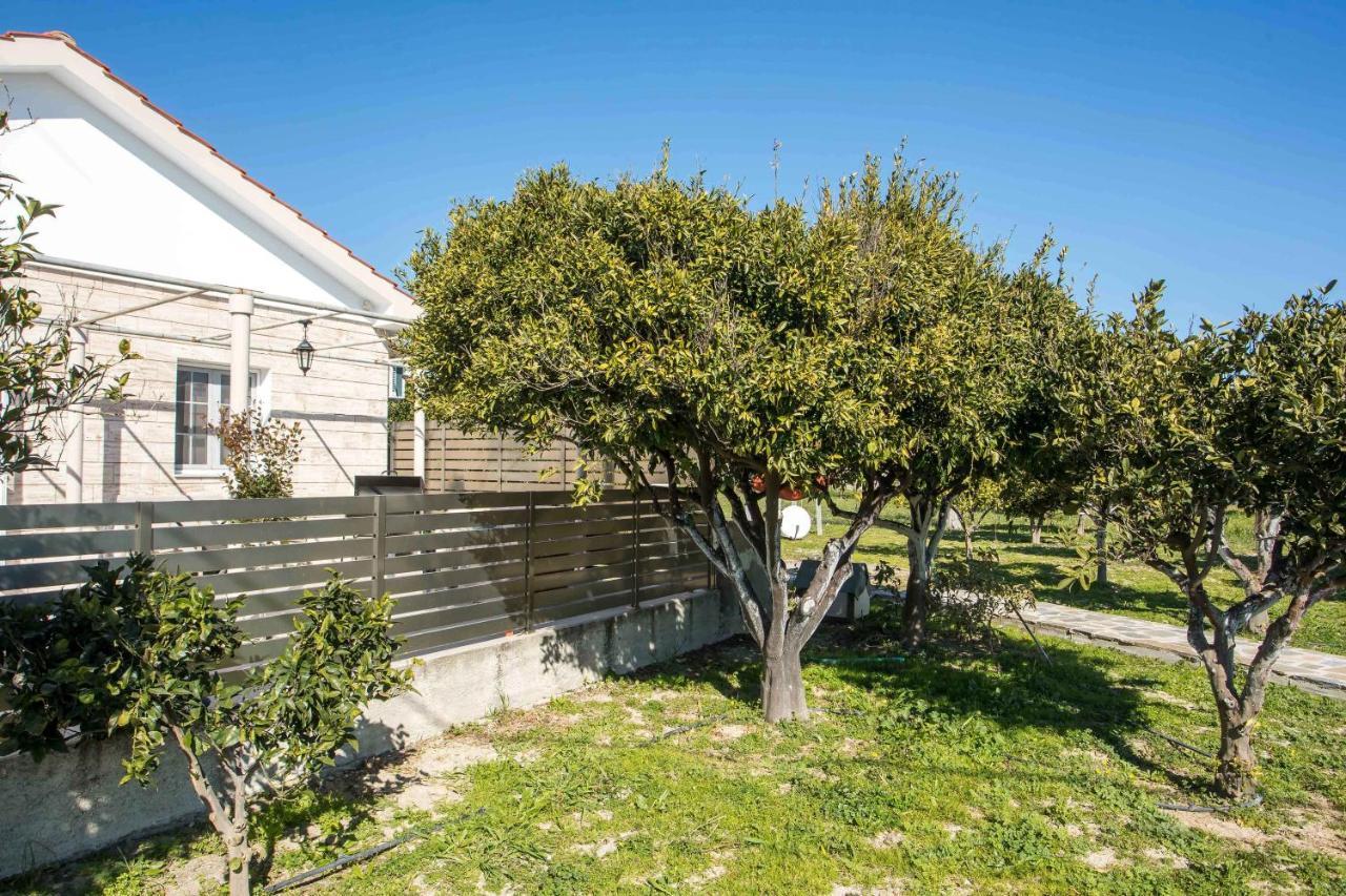 Semesterbostad Citrus Garden